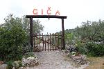 Gica